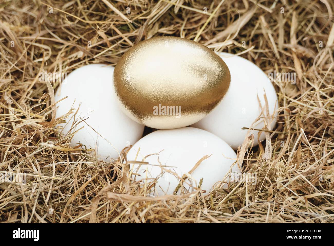 Golden egg in nest on top of white eggs, investment, retirement fund, insurance plan concept Stock Photo