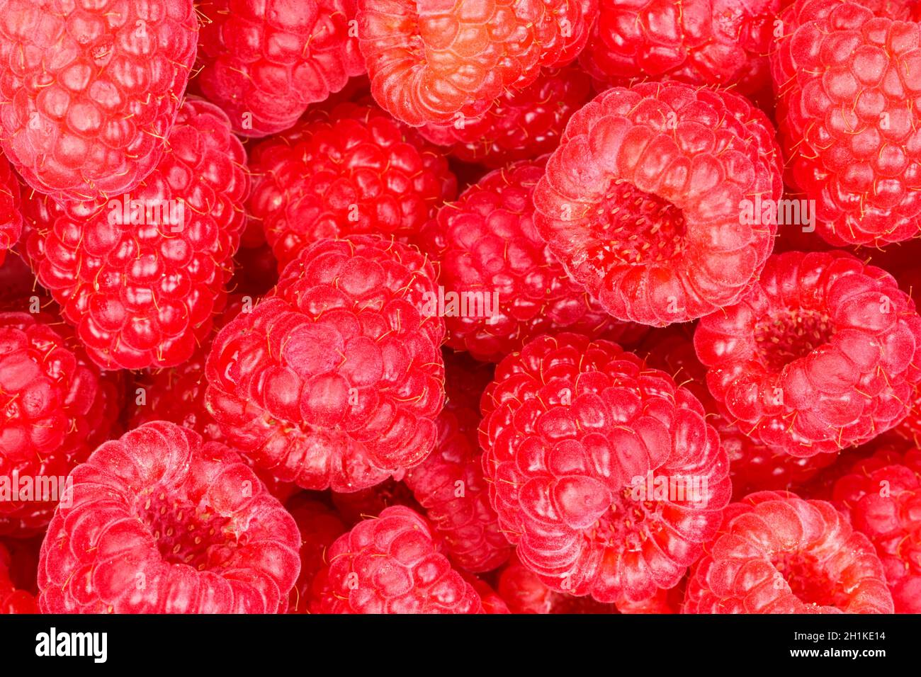 Bage Raspberry Fruit Raspberry berry raspberries berries fruits fruit background from above ...