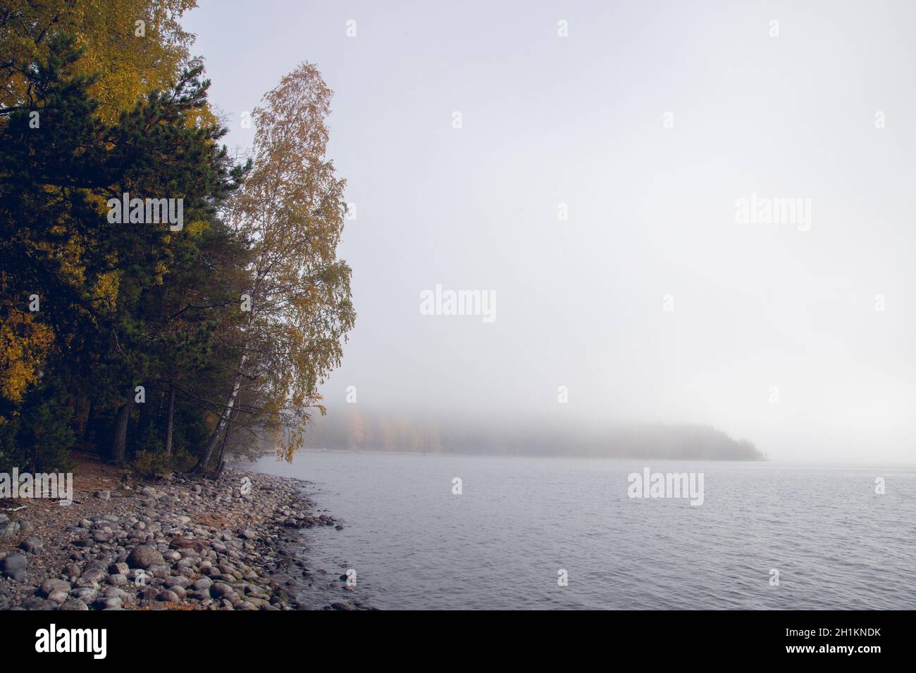 Beautiful view of a lake near the forest during fog Stock Photo - Alamy