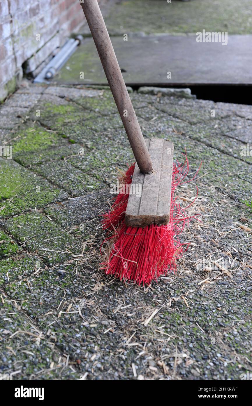 Closeup of a push broom with red bristles, used to clean a concrete