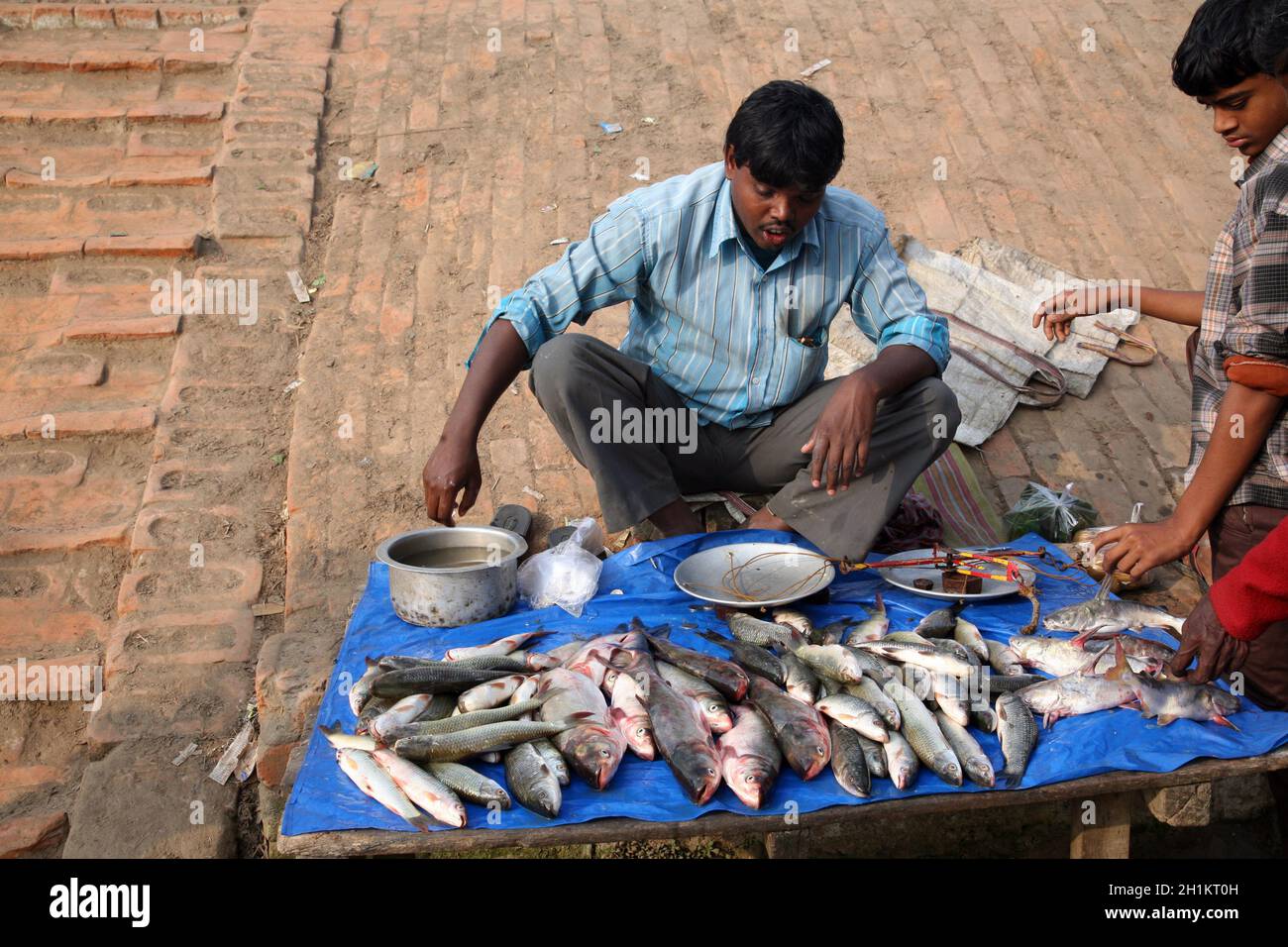 Fish market in Canning, West Bengal, India Stock Photo Alamy