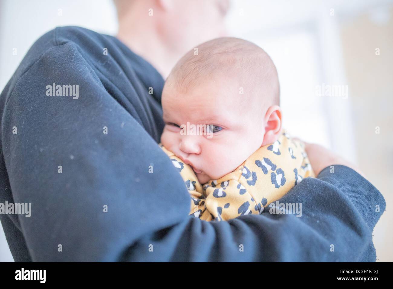 Cheetah onesie hi res stock photography and images Alamy