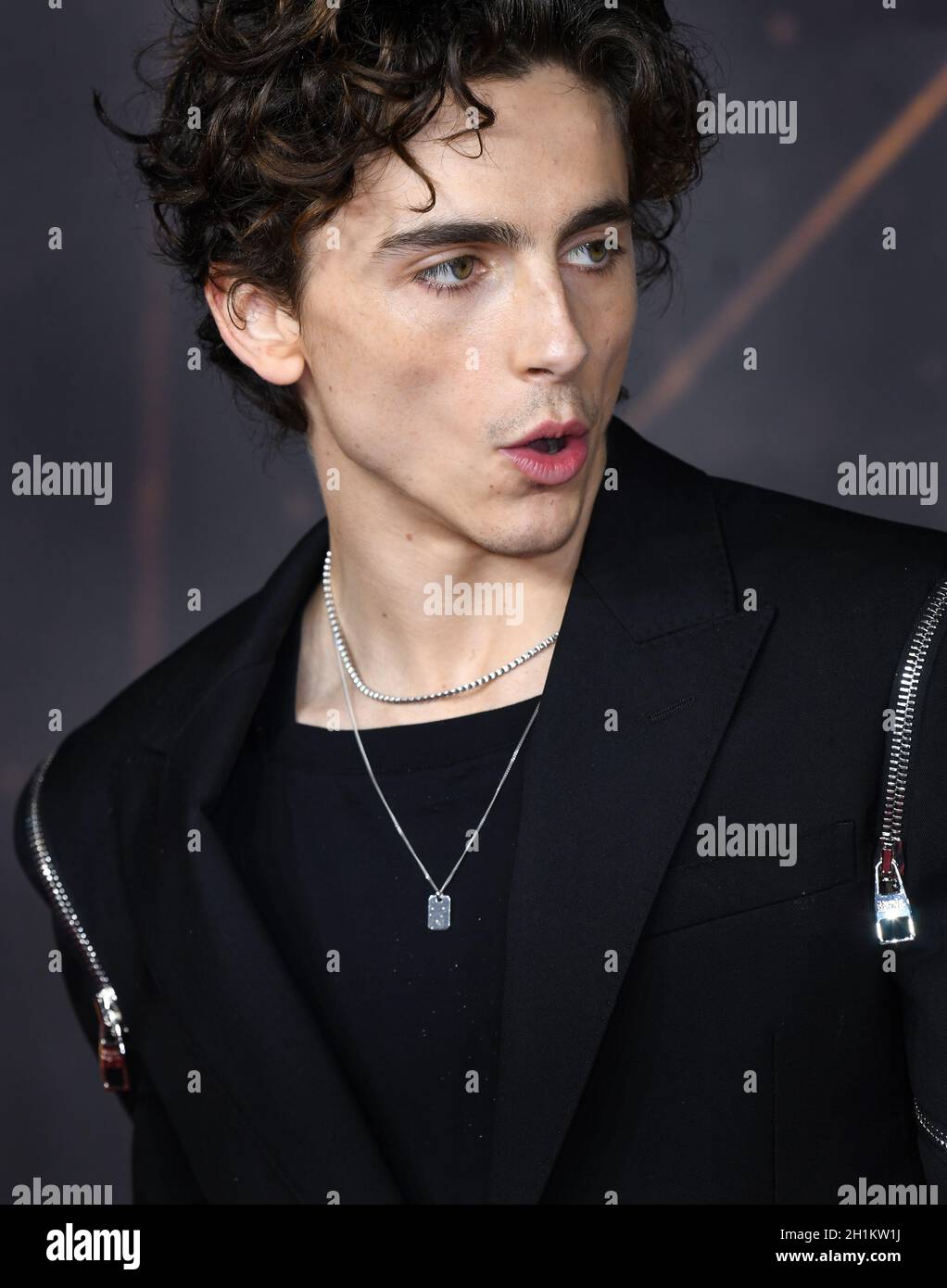 October 18th 2021 London Uk Timoth ée Chalamet Arriving At The Dune Uk Special Screening 2508