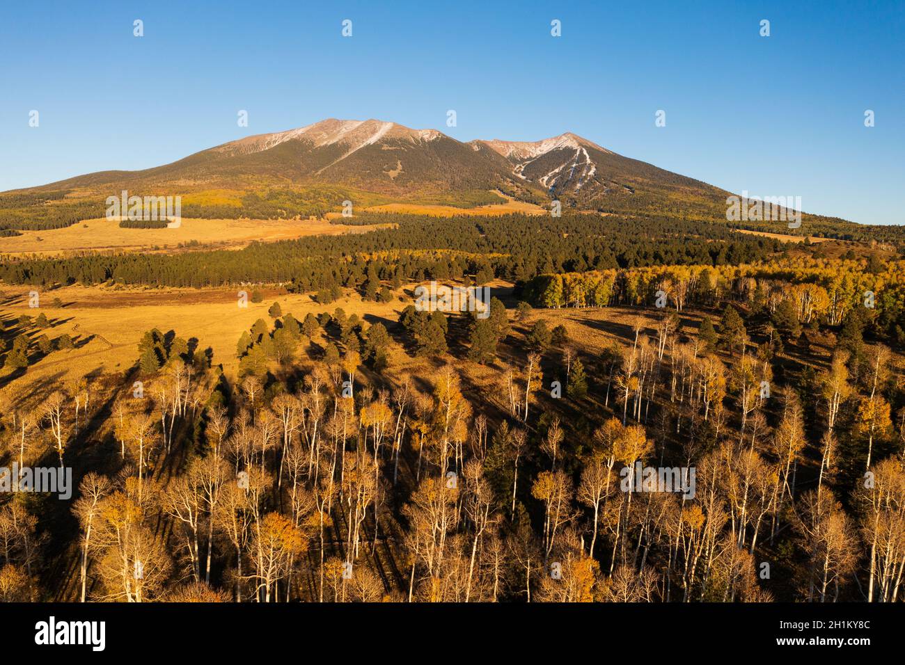 Aerial of snow capped San Francisco Peaks with golden aspens Stock Photo
