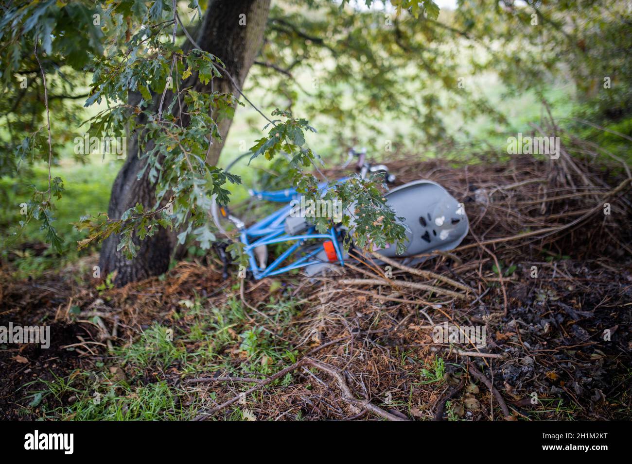 Abandoned blue bicycle with child seat next to a tree in the forest. Forgotten bike on the dry foliage in forest. Vehicles abandoned in the forest Stock Photo