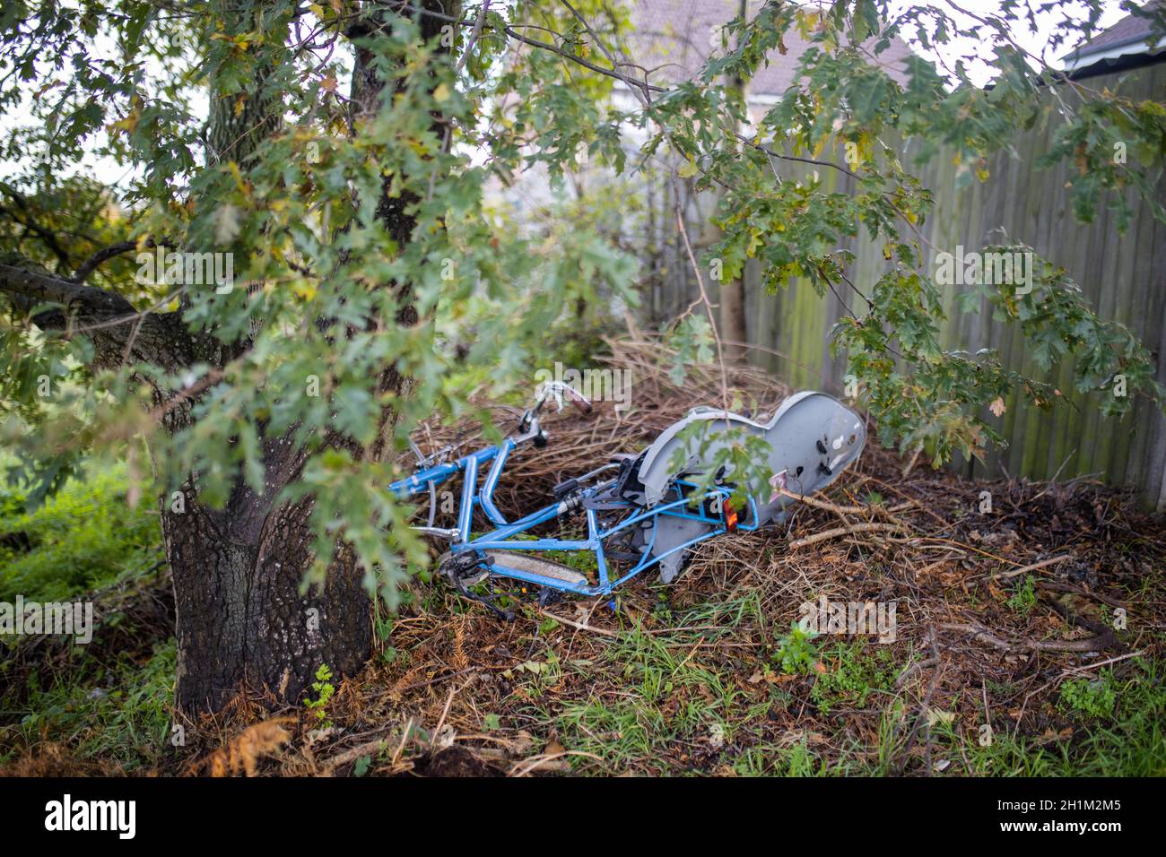 Abandoned blue bicycle with child seat next to a tree in the forest. Forgotten bike on the dry foliage in forest. Vehicles abandoned in the forest Stock Photo