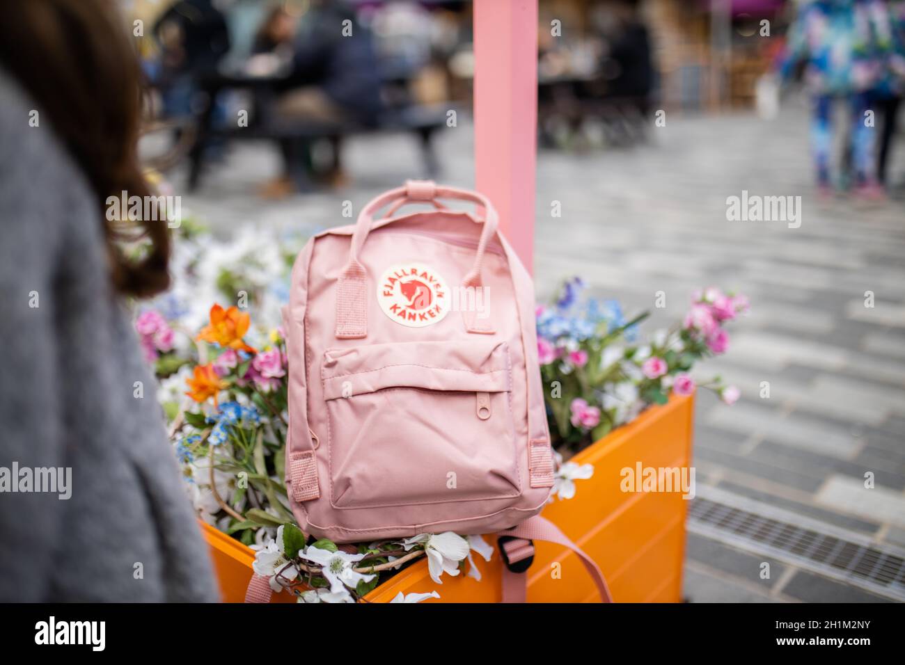 London, UK - November 4, 2020: Pink Fjallraven backpack above flowers and plants with blurry street as background. Pink rucksack on colorful flowers i Stock Photo