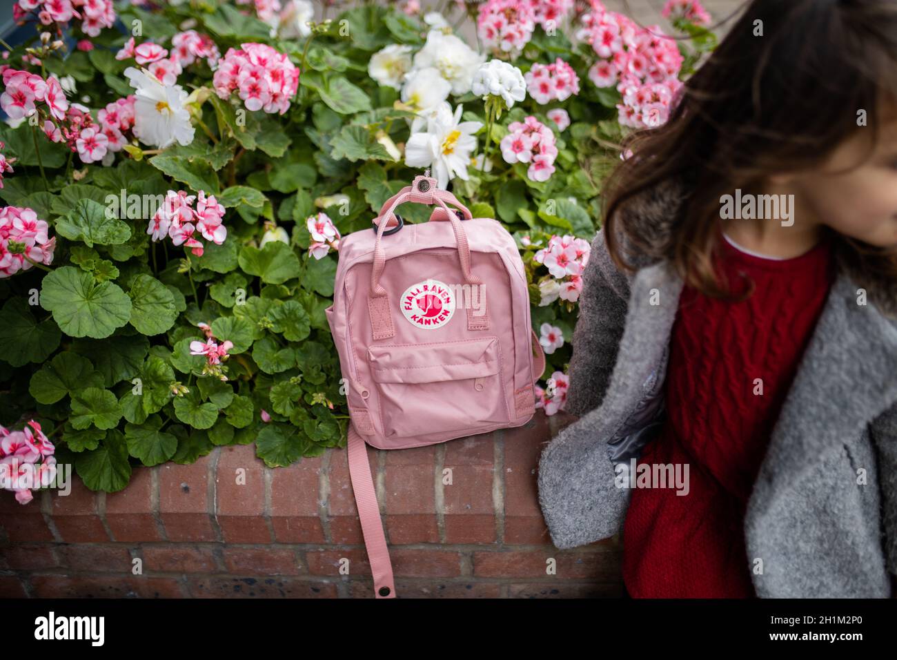 London, UK - November 4, 2020: Pink Fjallraven backpack on brick planter with pink flowers and next to little girl. Rucksack and colorful flowers on b Stock Photo