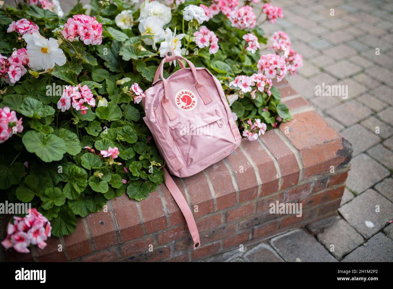 London, UK - November 4, 2020: Small pink Fjallraven backpack on brick planter with plants and pink flowers. Pink rucksack and colorful flowers on bri Stock Photo