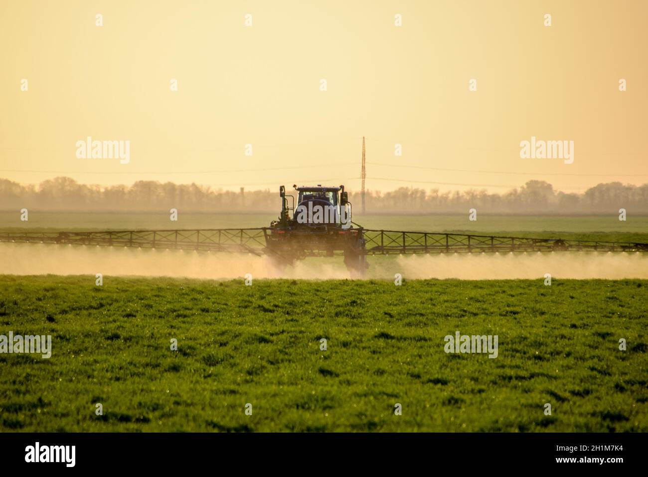 Tractor with high wheels is making fertilizer on young wheat. The use of finely dispersed spray chemicals. Tractor on the sunset background. Stock Photo