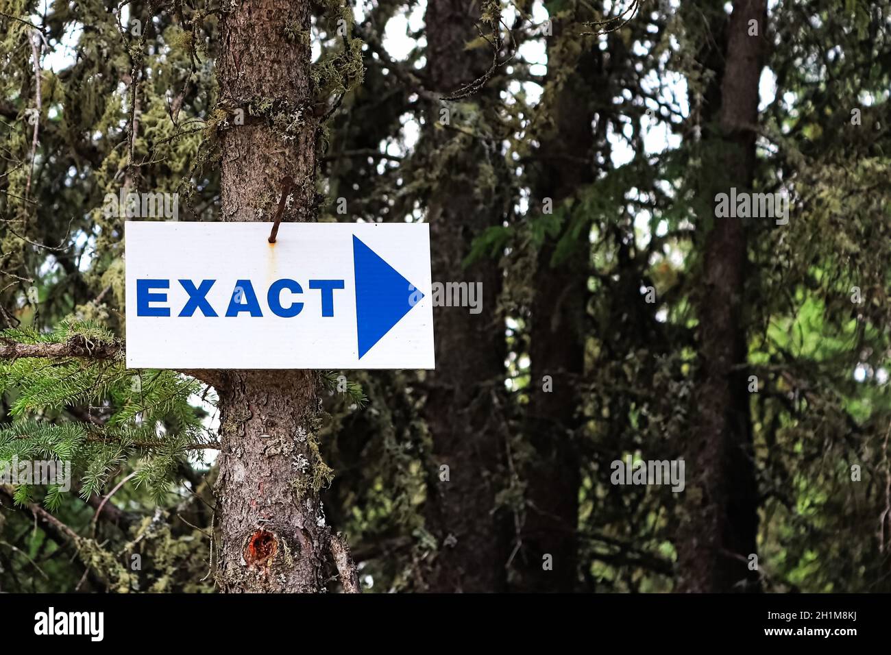 Sign For Exact A blue Exact sign with a arrow pointing right Stock Photo - Alamy