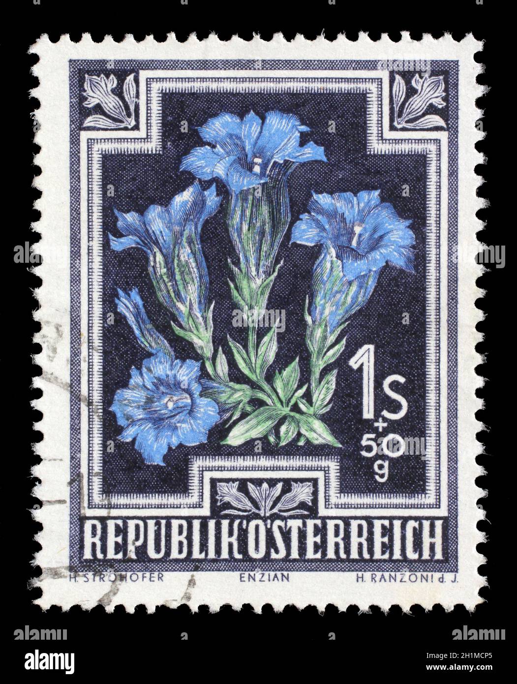 Stamp printed by Austria, shows Trumpet Gentian (Gentiana kochiana), circa 1948 Stock Photo