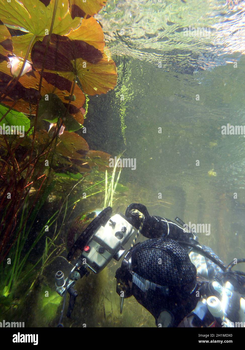 Unterwasserfotograf im Kulkwitzer See Stock Photo