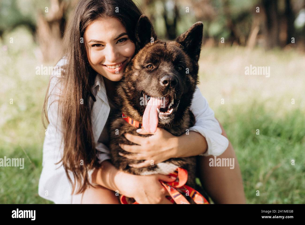 American Akita dog for a walk with a guy and a girl on the green prairie Stock Photo
