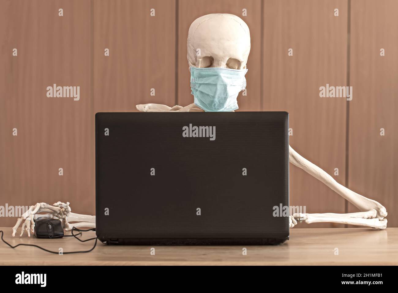 The skeleton in protective medical mask works with the laptop Stock Photo