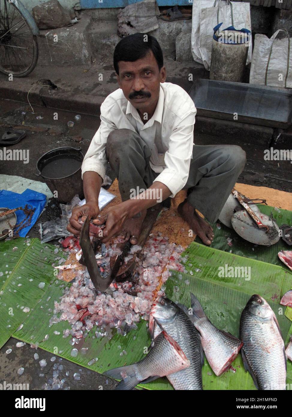 Woman measuring fish in weight scale in fish market ; Siyaldah ; Calcutta  now Kolkata ; West Bengal ; India Stock Photo - Alamy