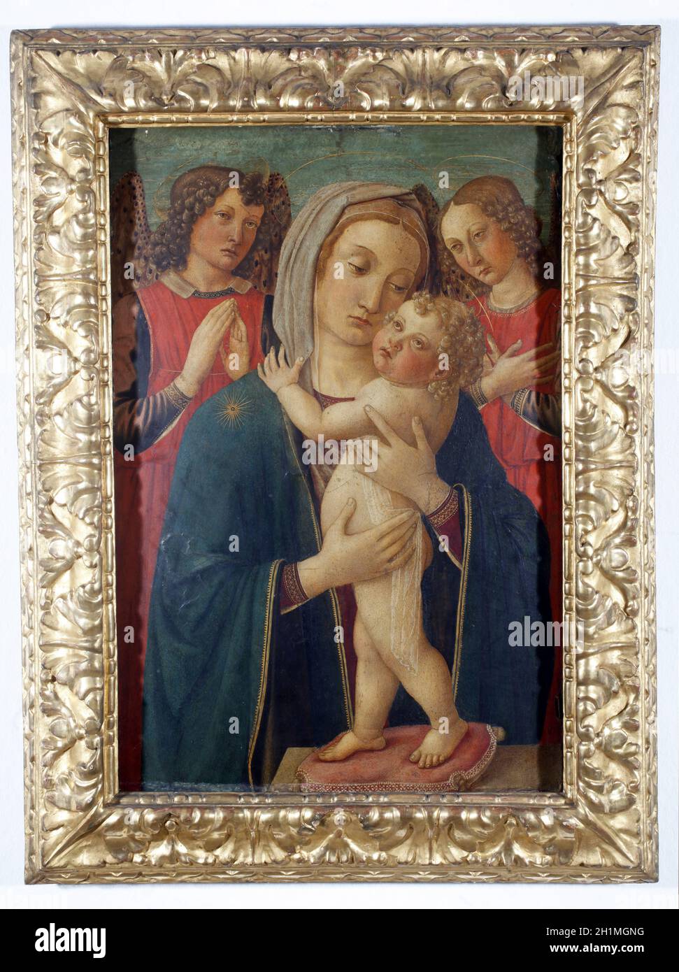 Rossella hi-res stock photography and images - Alamy