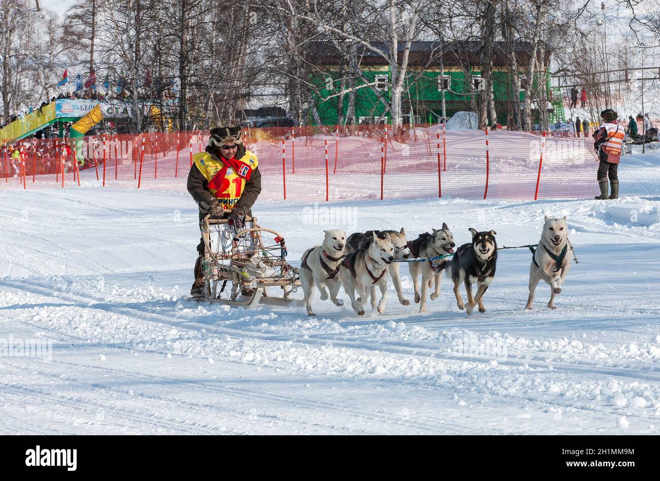 Team Racing Beringa Beringia dog hi-res stock photography and images - Alamy
