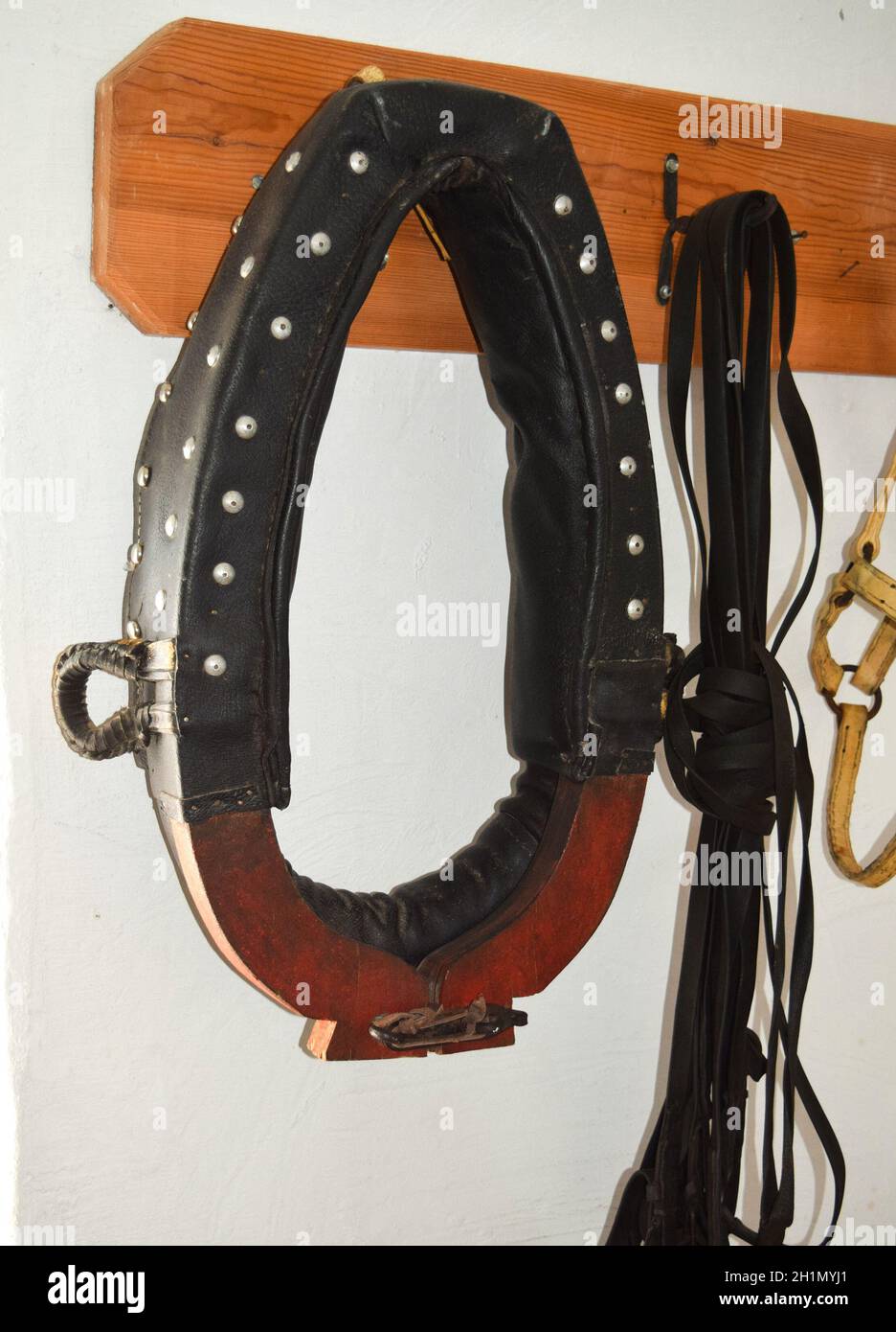 Elements of harness horses, hanging on a hanger Stock Photo Alamy