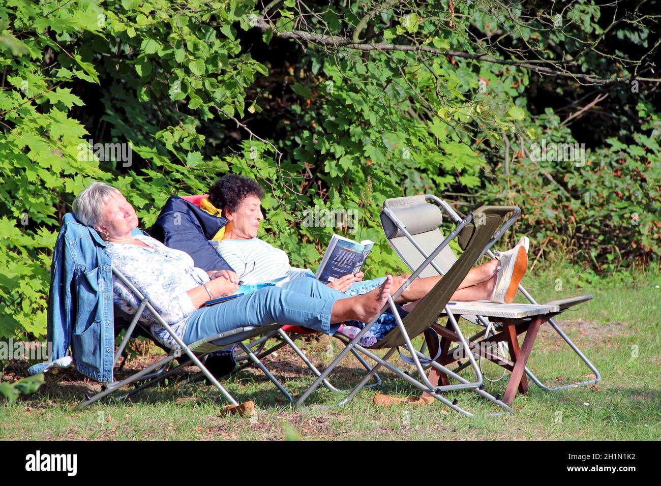 Lawn chairs for discount elderly