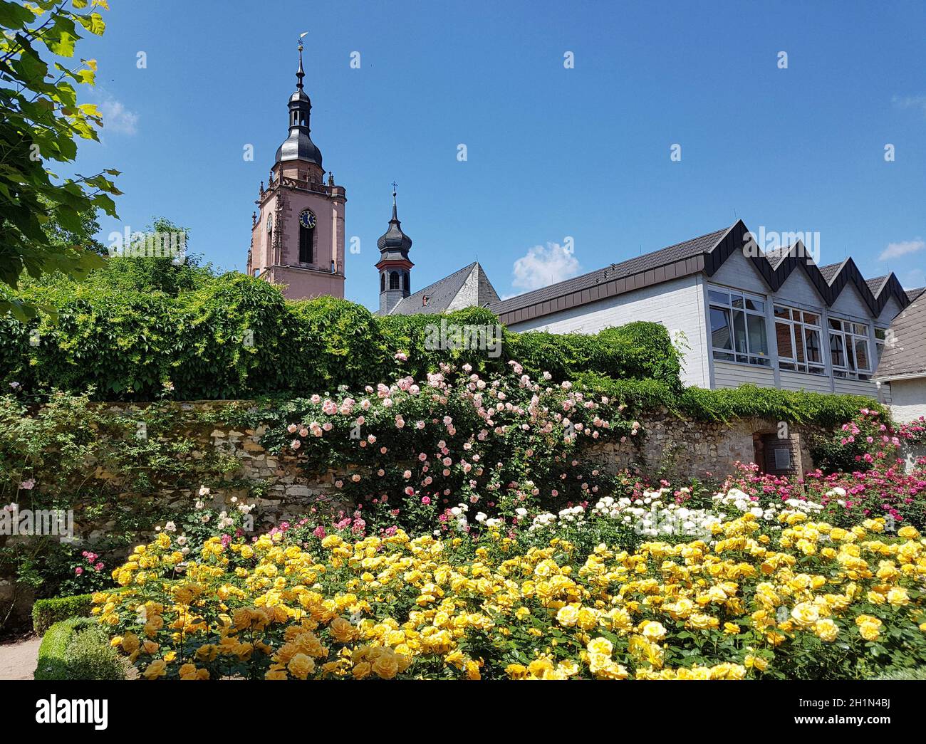 Kirche, Eltville,  Deutschland,  Rhein Stock Photo