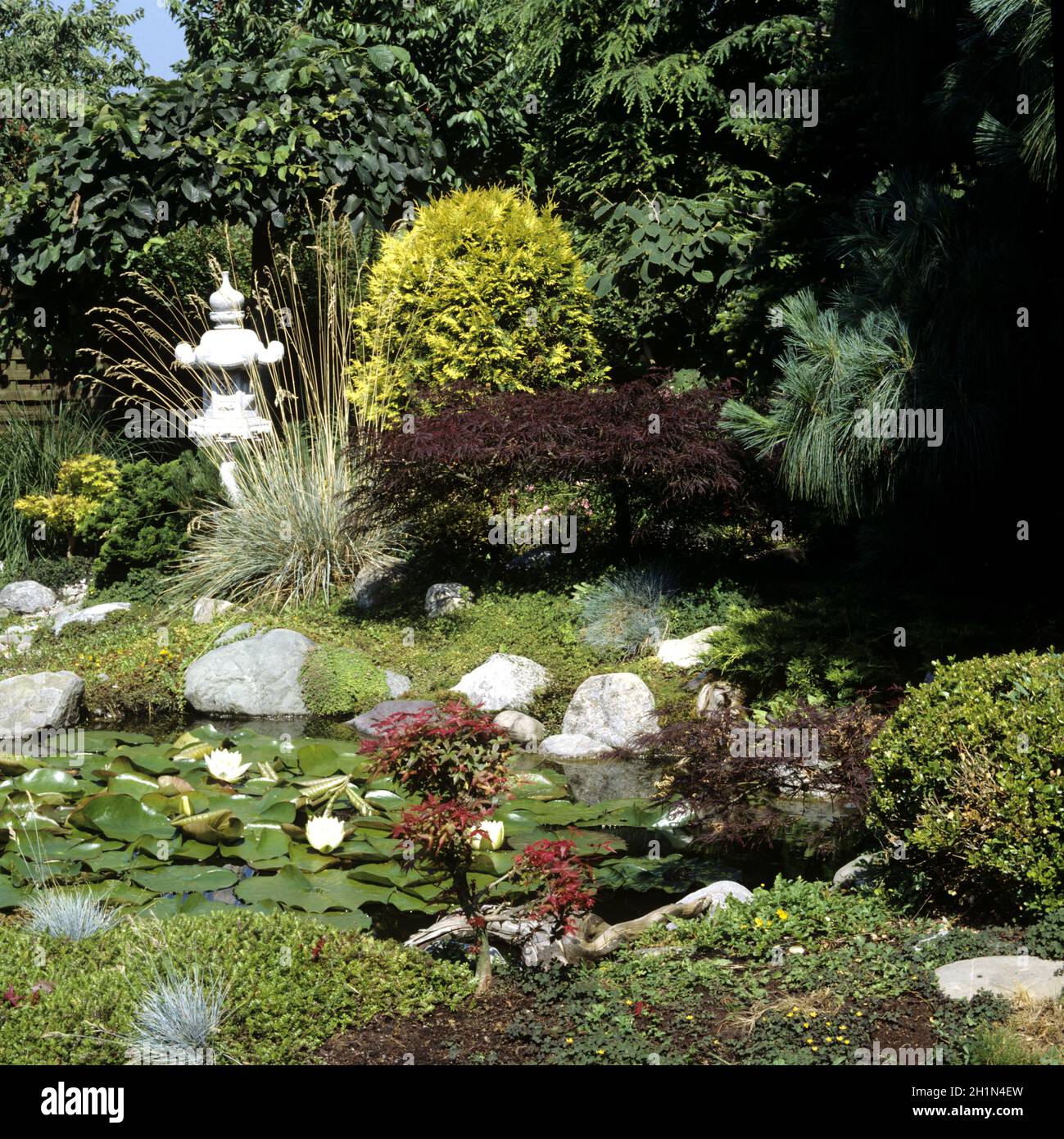 Japanischer, Garten, Stock Photo