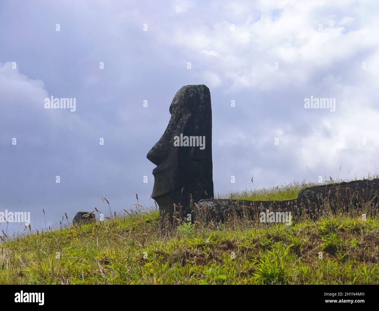 Statues of the gods of Easter Island. Ancient statues of ancient