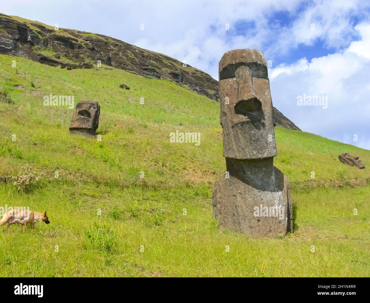 Statues of the gods of Easter Island. Ancient statues of ancient