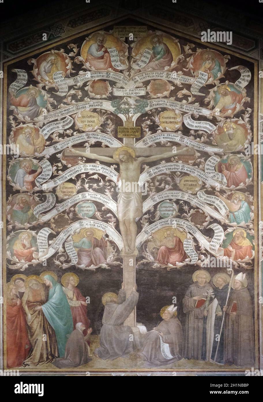 Crucifixion represented as Tree of Life, fresco, Taddeo Gaddi (1290