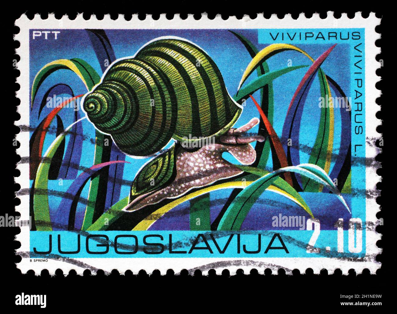Stamp issued in Yugoslavia shows River Snail (Viviparus viviparus), Animals in Wetlands series, circa 1976. Stock Photo