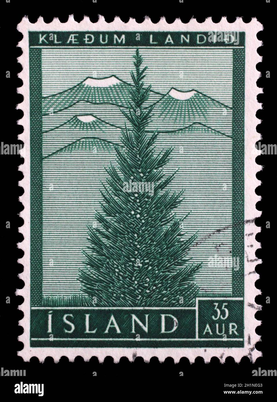 Stamp issued in Iceland shows European spruce (Picea abies), Re-forest serie, circa 1957. Stock Photo
