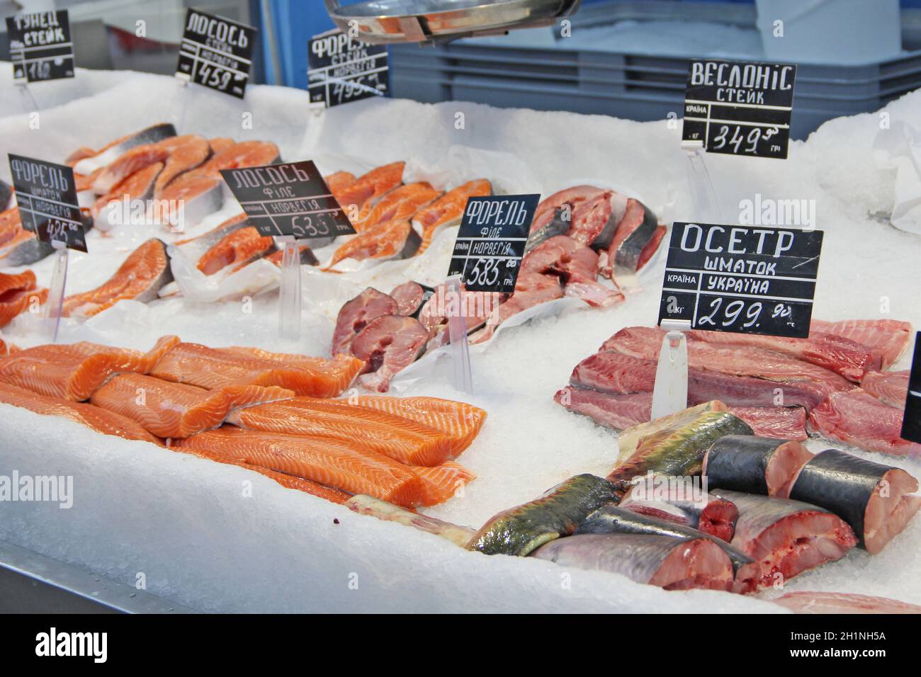 Fresh frozen fish in ice is sold in store. Pieces of salmon paddlefish