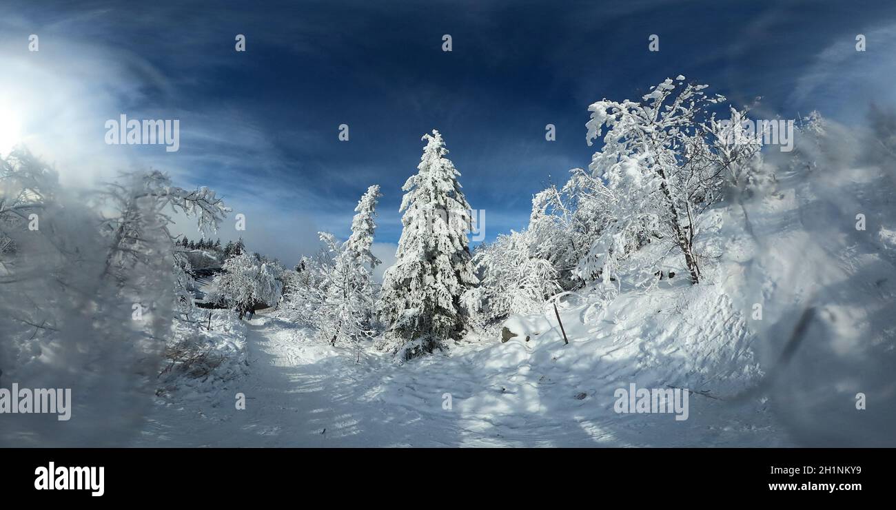 Winterlandschaft am Hochblauen mit blauem Himmel,   Winterimpressionen in Zeiten von Corona. Die Menschen trieb es auch am zweiten Januar-Wochenende 2 Stock Photo
