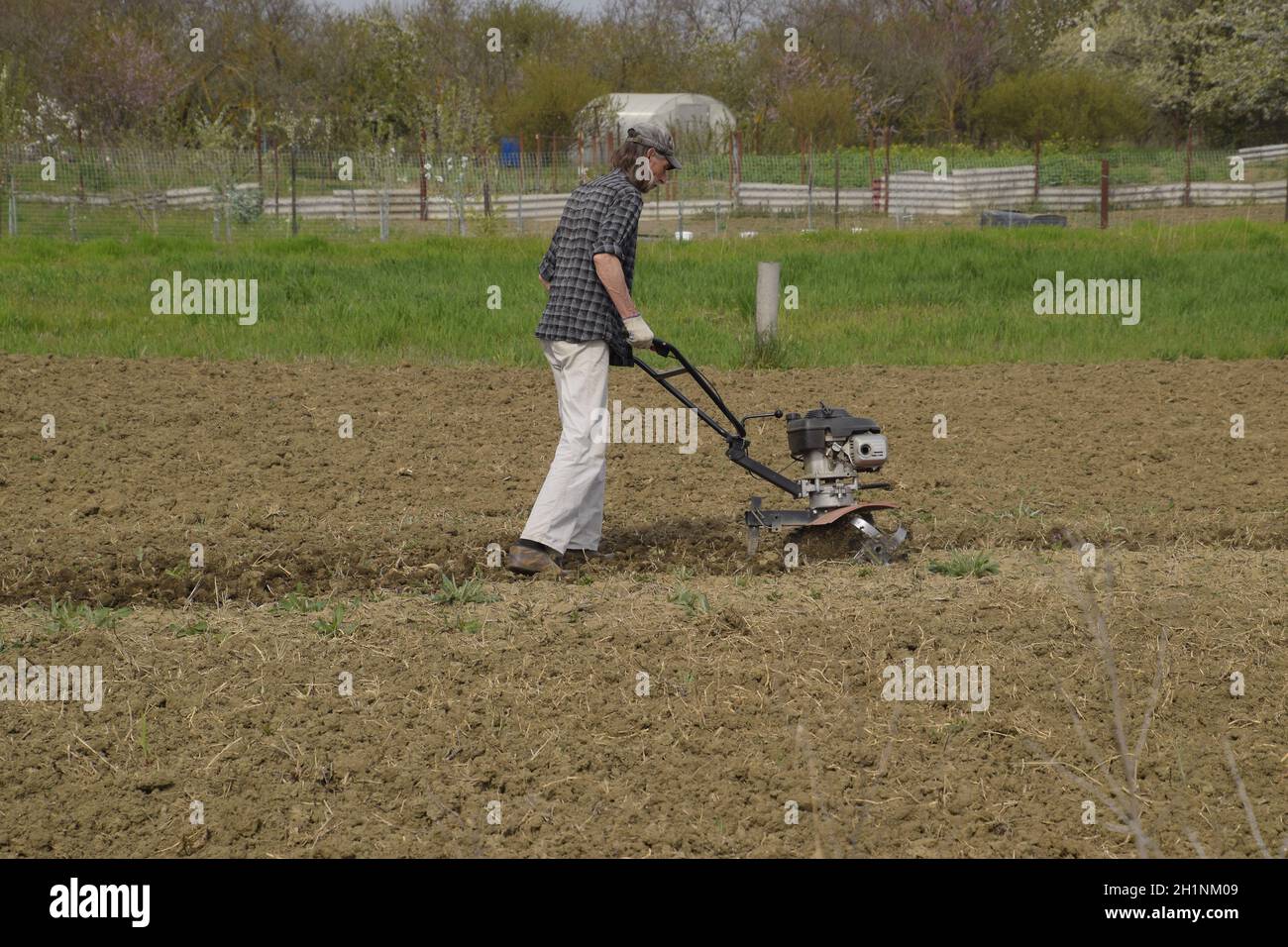 A man plows a tiller in the garden. Spring cultivation of the garden