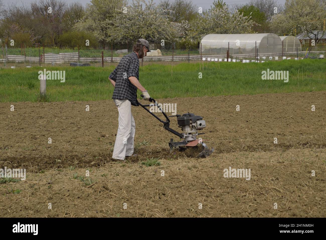 A man plows a tiller in the garden. Spring cultivation of the garden