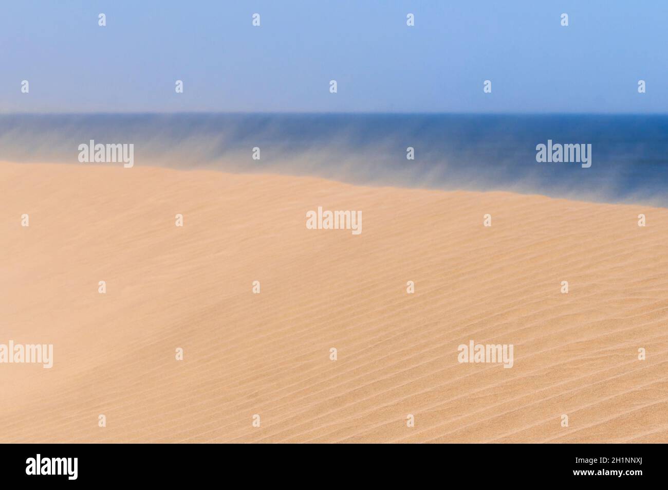 Dunes atlantic ocean namib desert hi-res stock photography and images ...