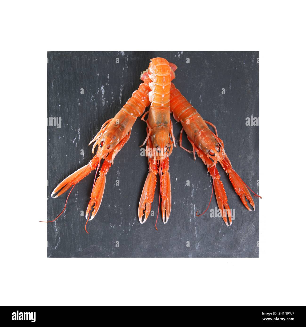 Three Norway lobster Dublin Bay prawn langoustine scampi on a slate Stock Photo