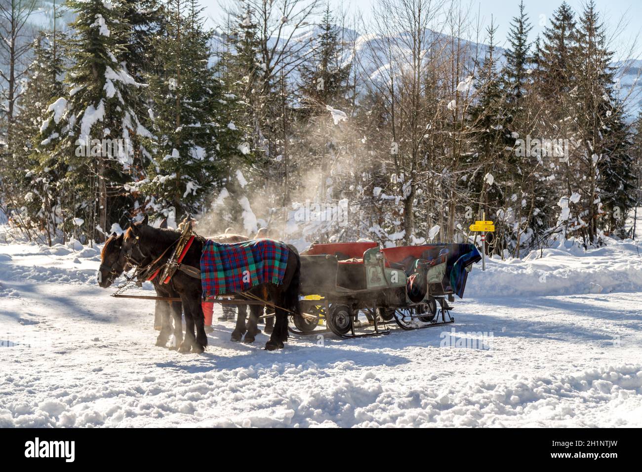 Close up horse drawn carriage hi-res stock photography and images - Alamy