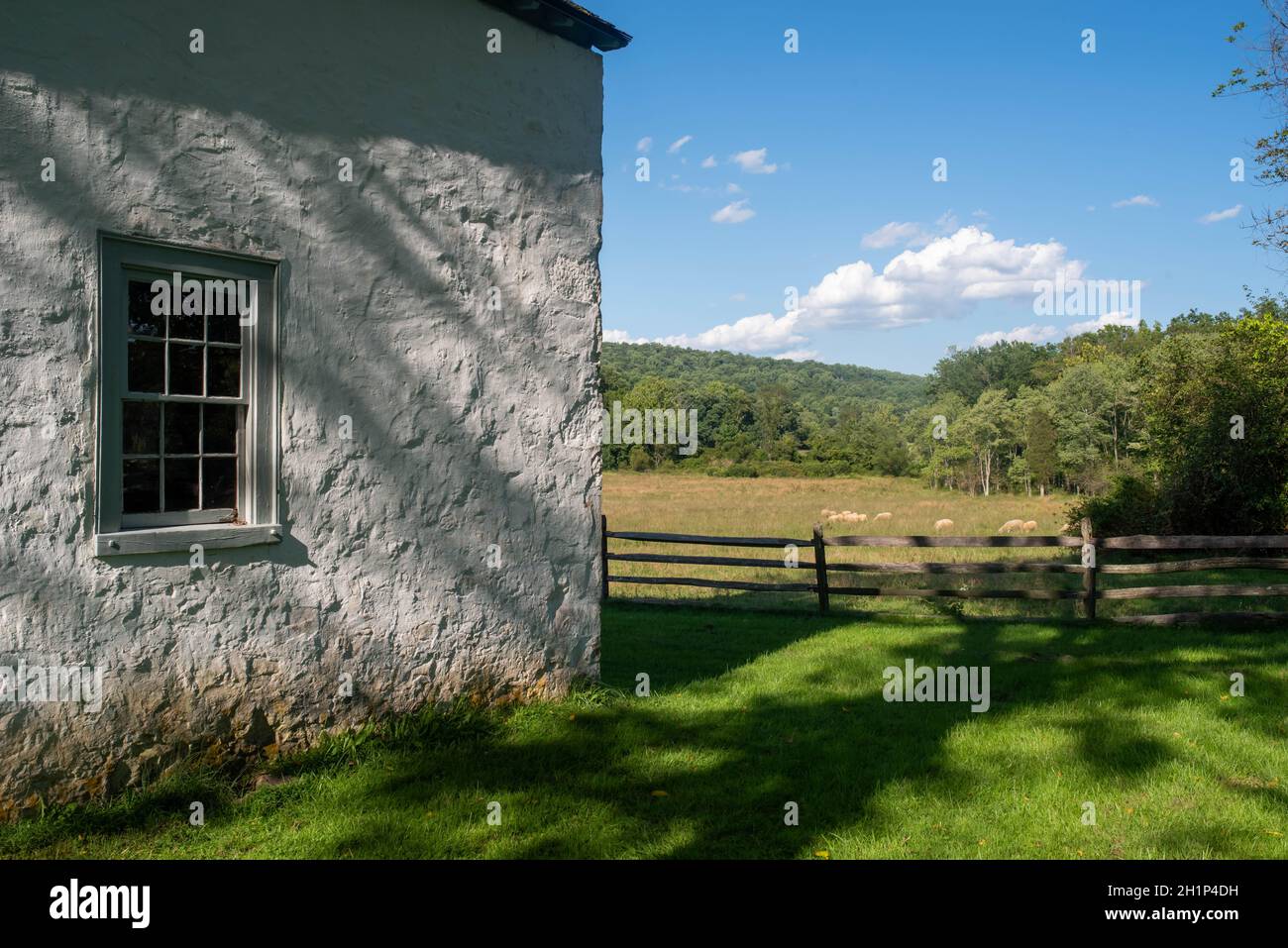 Idyllic pastoral scene with sheep grazing and the exterior of a ...