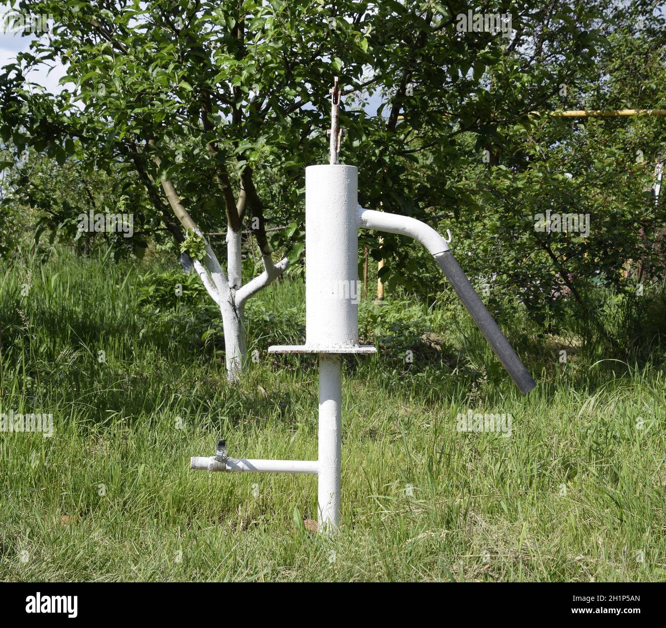 Hand pump leading to an artesian well. Pumping water for watering the