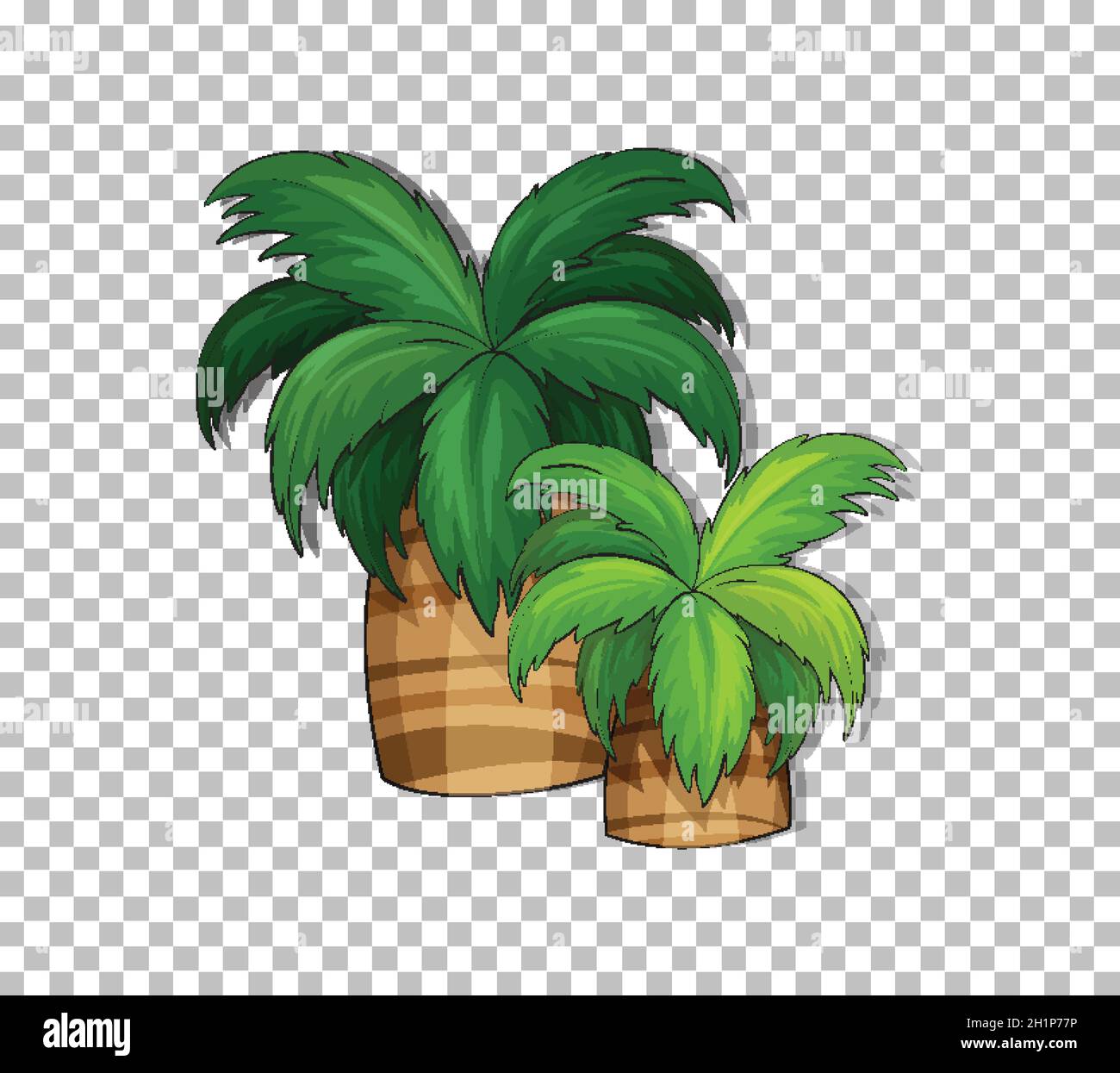Palm tree on transparent background illustration Stock Vector Image ...