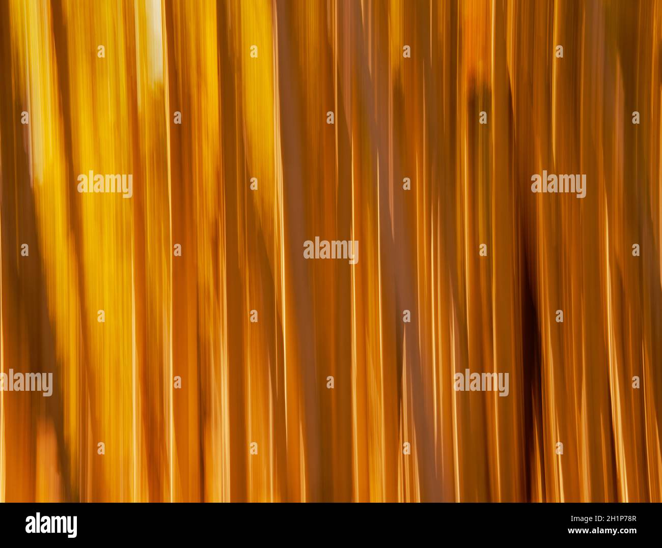 Abstract landscape photo  Stock Photo
