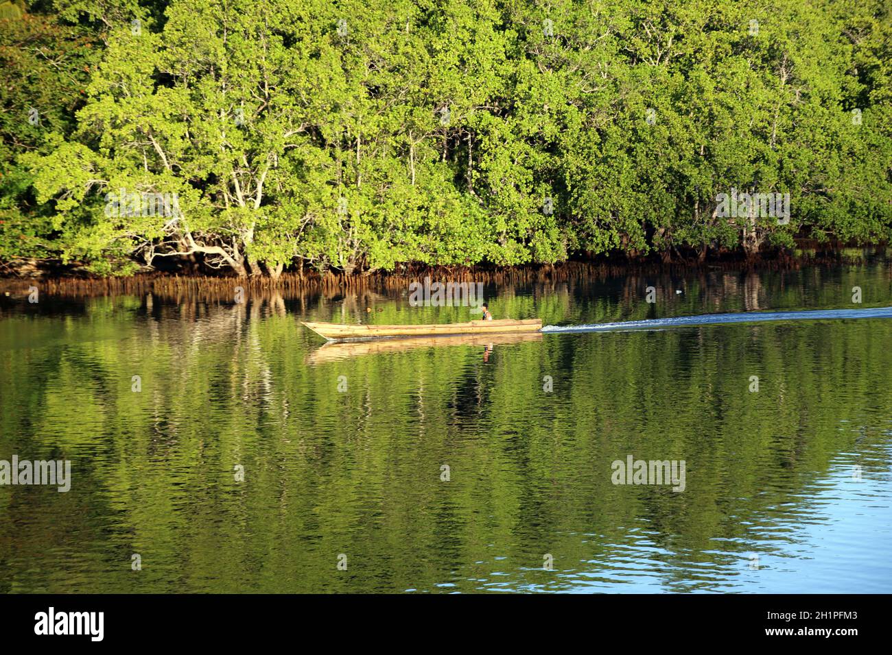 Mangrovenwald an eine Passage zwischen den Inseln  Kayoa und Muari, Nord-Molukken, Halmahera, Indonesien Stock Photo