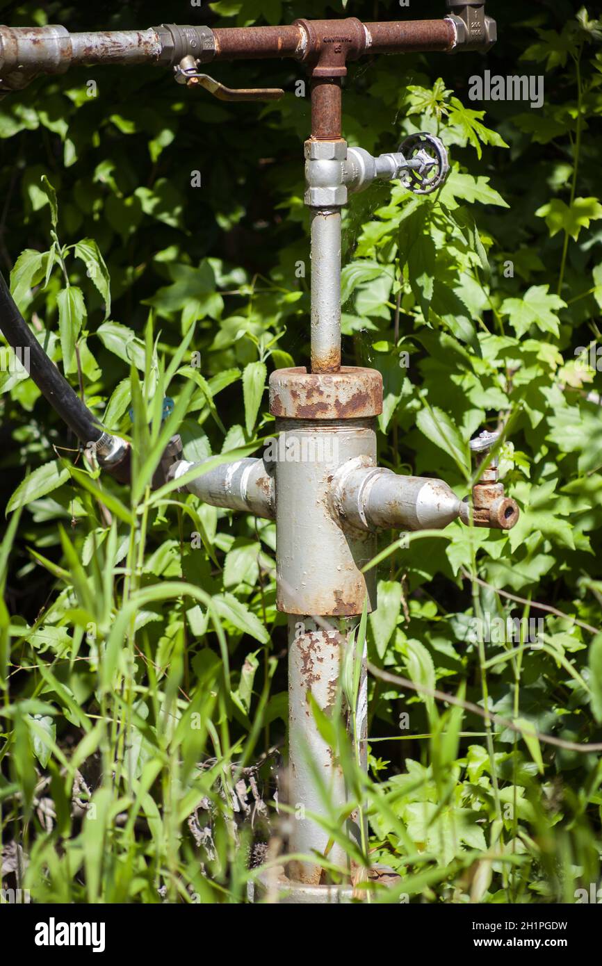 Metal water spigot located in deep green foliage Stock Photo