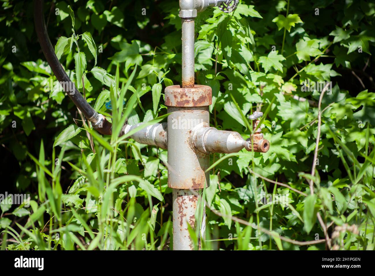 Metal water spigot located in deep green foliage Stock Photo