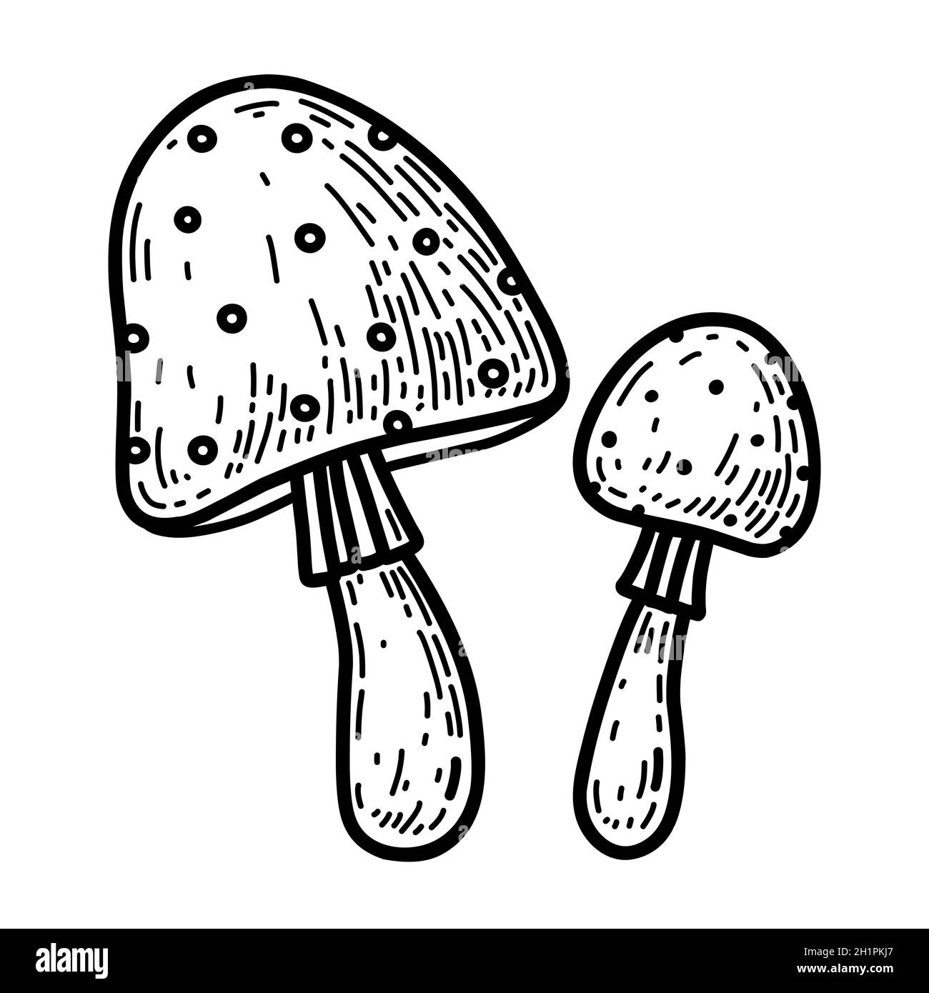 Two cartoon amanita isolated on a white background. Poisonous forest mushrooms. Vector hand-drawn illustration in doodle style. Perfect for autumn designs, cards, logo, decorations. Stock Vector