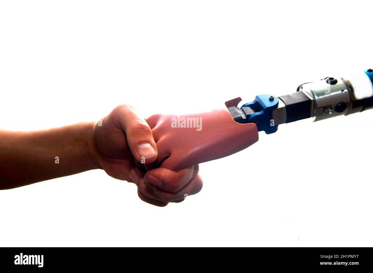 human hand touches a prosthetic hand, human encounters a machine Stock Photo
