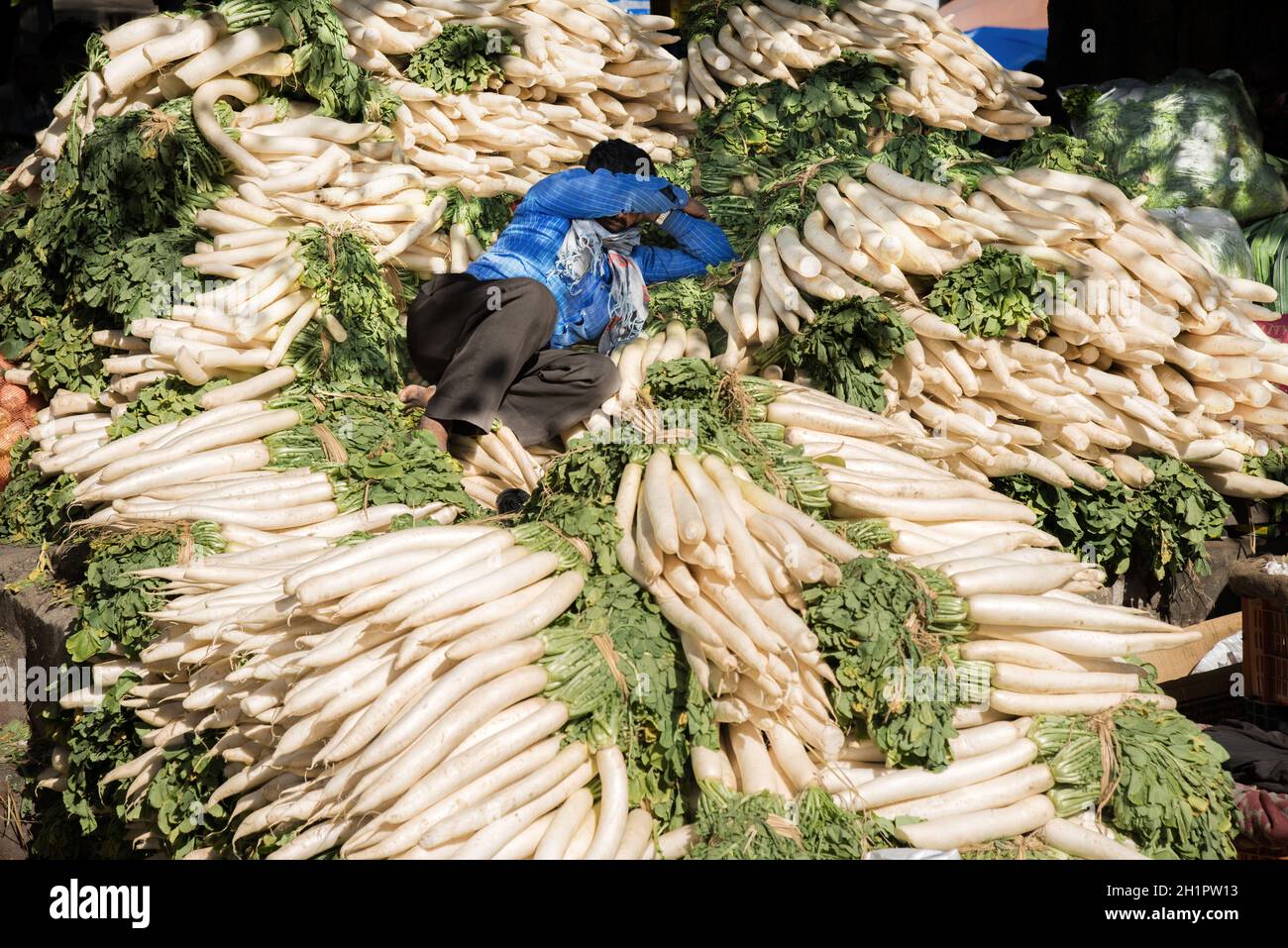 Vegetable seller shading from and sleeping in the afternoon sun on a