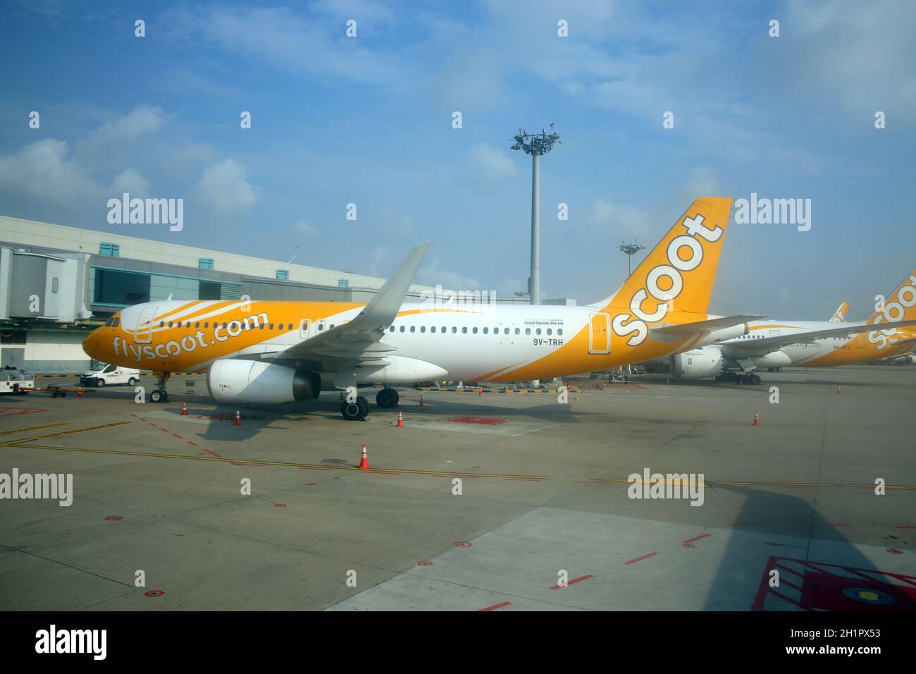 Scoot tigerair hi-res stock photography and images Alamy
