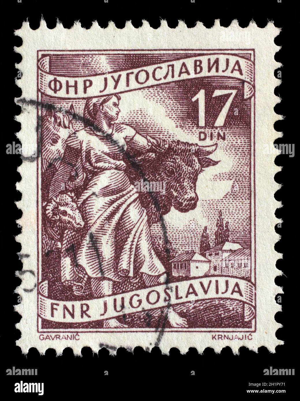 Stamp printed in Yugoslavia shows Livestock raising, inscriptions from series 'Domestic economy', circa 1952 Stock Photo